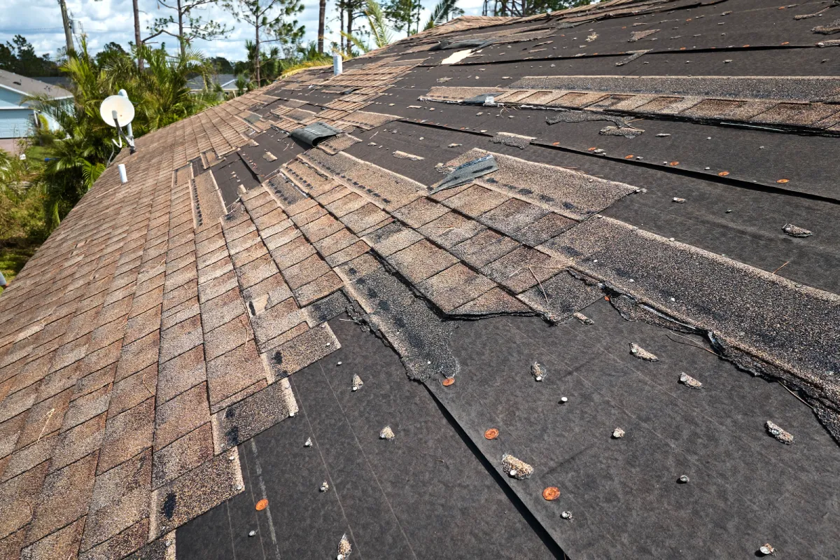 Roof replacement guide in Toronto