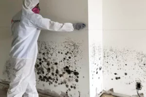 A person in a white hazmat suit and pink mask conducts a mold inspection in Toronto, touching the affected area lightly with a gloved hand.