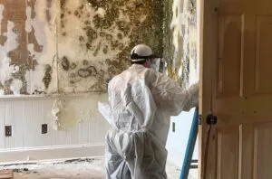 Best Toronto Restoration Company | 20+ Years Experience