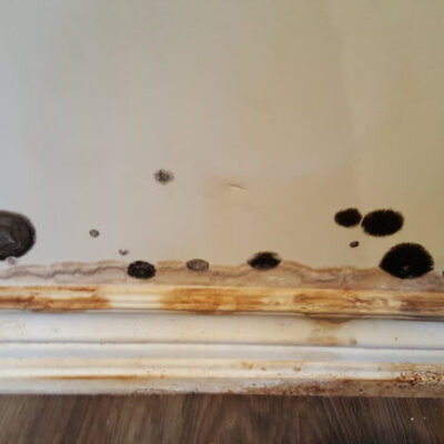 Restoration pictures photo gallery images (103)