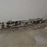 Restoration Pictures Photo Gallery Images (15)