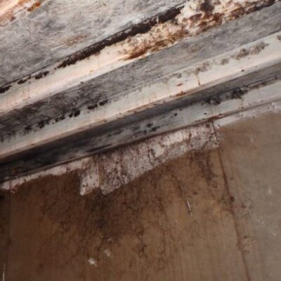 Restoration pictures photo gallery images (19)