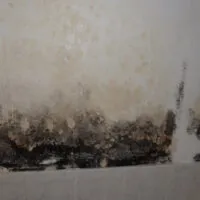 Restoration Pictures Photo Gallery Images (216)