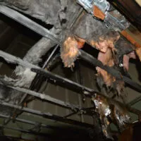 Restoration Pictures Photo Gallery Images (48)