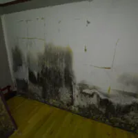 Restoration Pictures Photo Gallery Images (52)