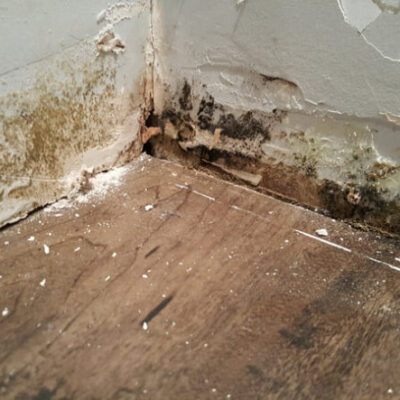 Restoration pictures photo gallery images (62)