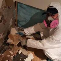 Restoration Pictures Photo Gallery Images (68)
