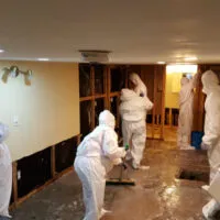 Restoration Pictures Photo Gallery Images (80)